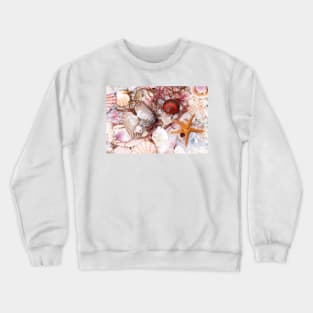 Assorted Shells with Starfish or Seastar Crewneck Sweatshirt